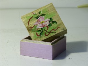 Rosa canina piccola